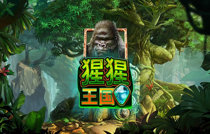 bob半岛平台网址
